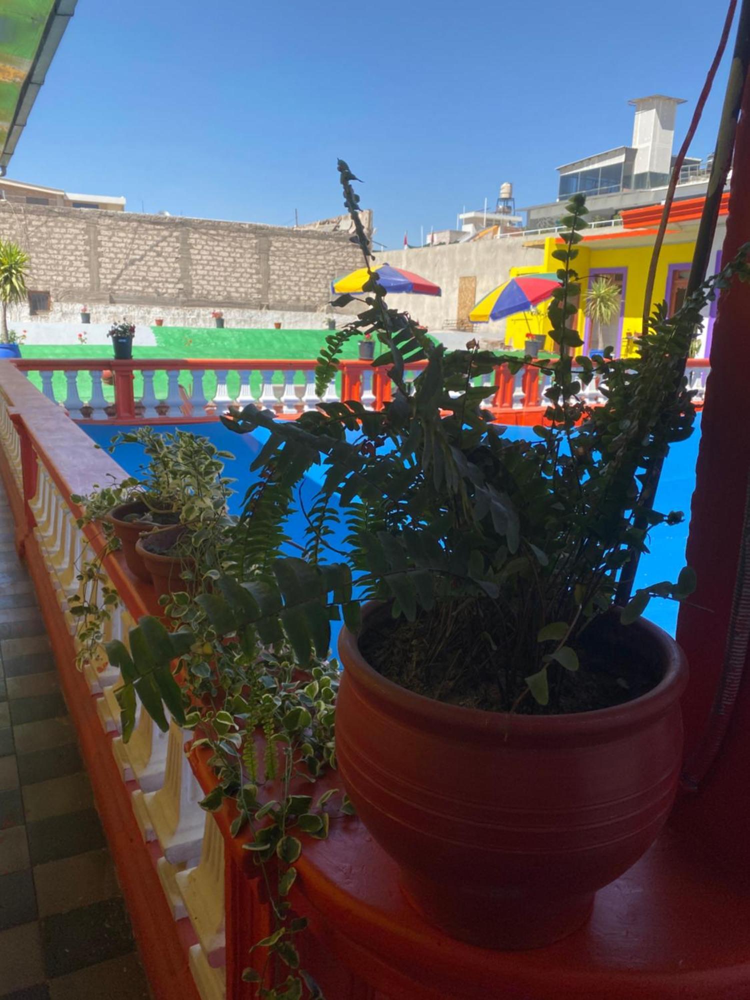 Pusary Hostel Arequipa Dış mekan fotoğraf